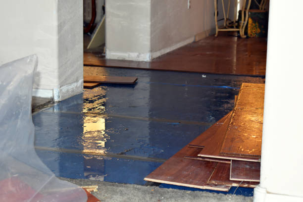 Professional Water Damage Restoration technician working in Leesburg, FL